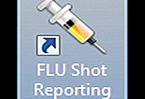 The Flu Icon was loaded on employee desktops to report flu shots received outside the VA.